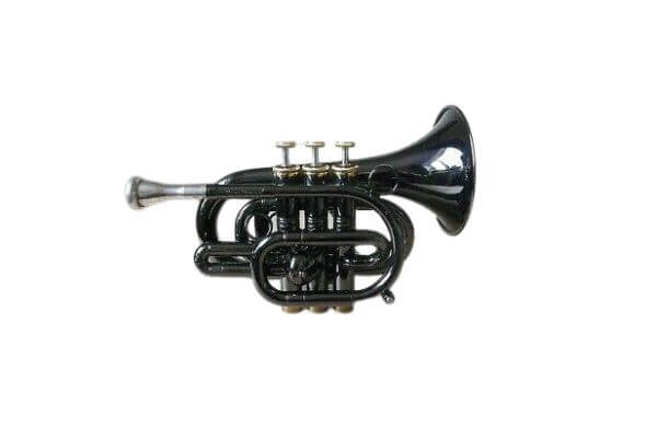 Carol Brass Pocket Trumpet CPT3000-GLS-Bb BlackHawk