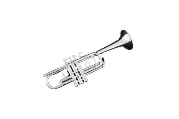 Solid Platinum Trumpet by Yamaha