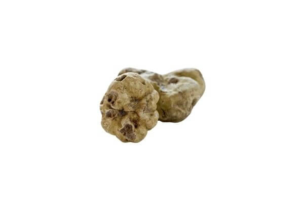 Monster 1 kilogram truffle