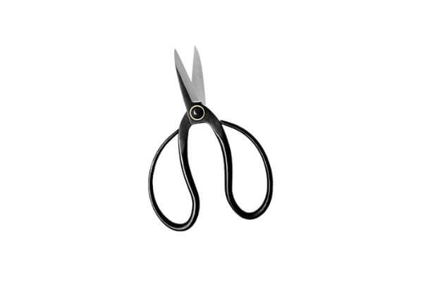 Gonicc Professional 7.3 Bonsai Scissors