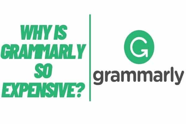 Why Is Grammarly So Expensive?