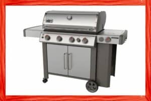 Why Are Weber Grills So Expensive