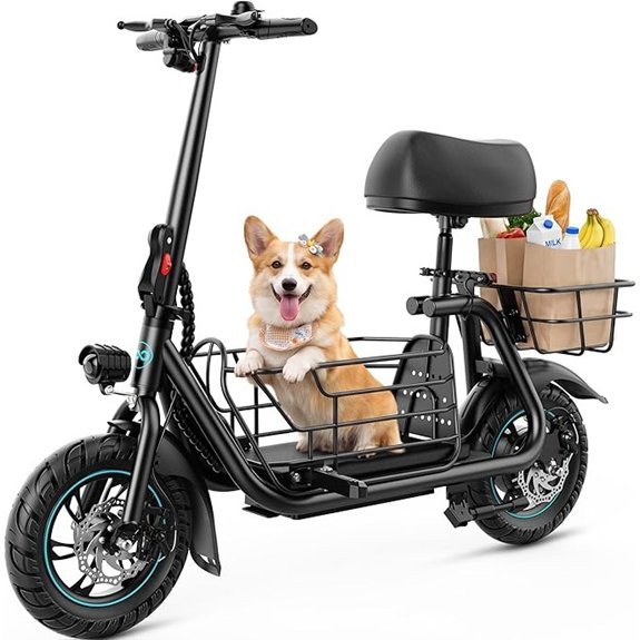 electric scooter with seat